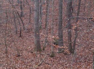 3917 Morgan Ford Rd, Ridgeway, VA 24148