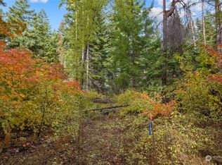 61 Little Eureka Ln, Cle Elum, WA 98922