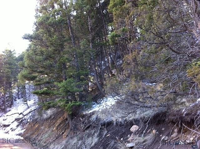1st image of Alder Gulch
