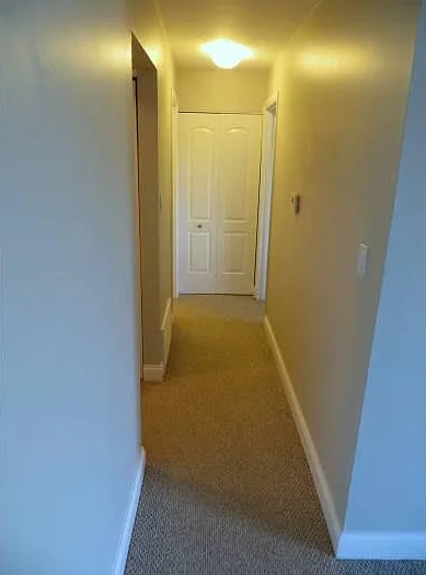 Hall from Living Room to Bedroom & Bathroom