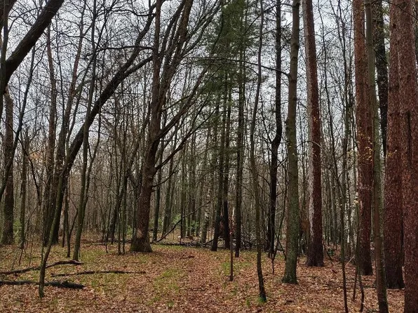 26627 Bluegill Ave N, Webster, WI 54893