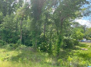 Robinson Road Vacant, Alexander City, AL 35010