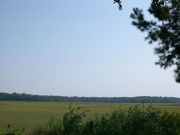 Marsh View