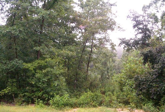 2nd image of 1171 Blackwell Dr