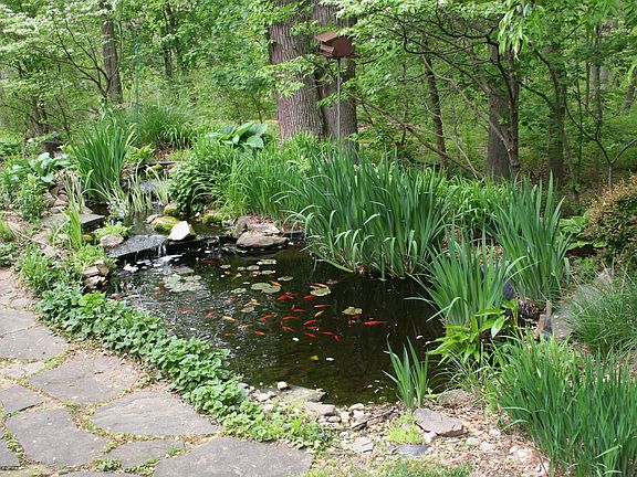 Water feature fishpond