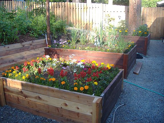 Raised Garden Beds