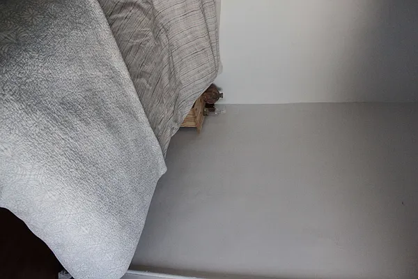 Rented by 50 Stanhope LLC | media 10