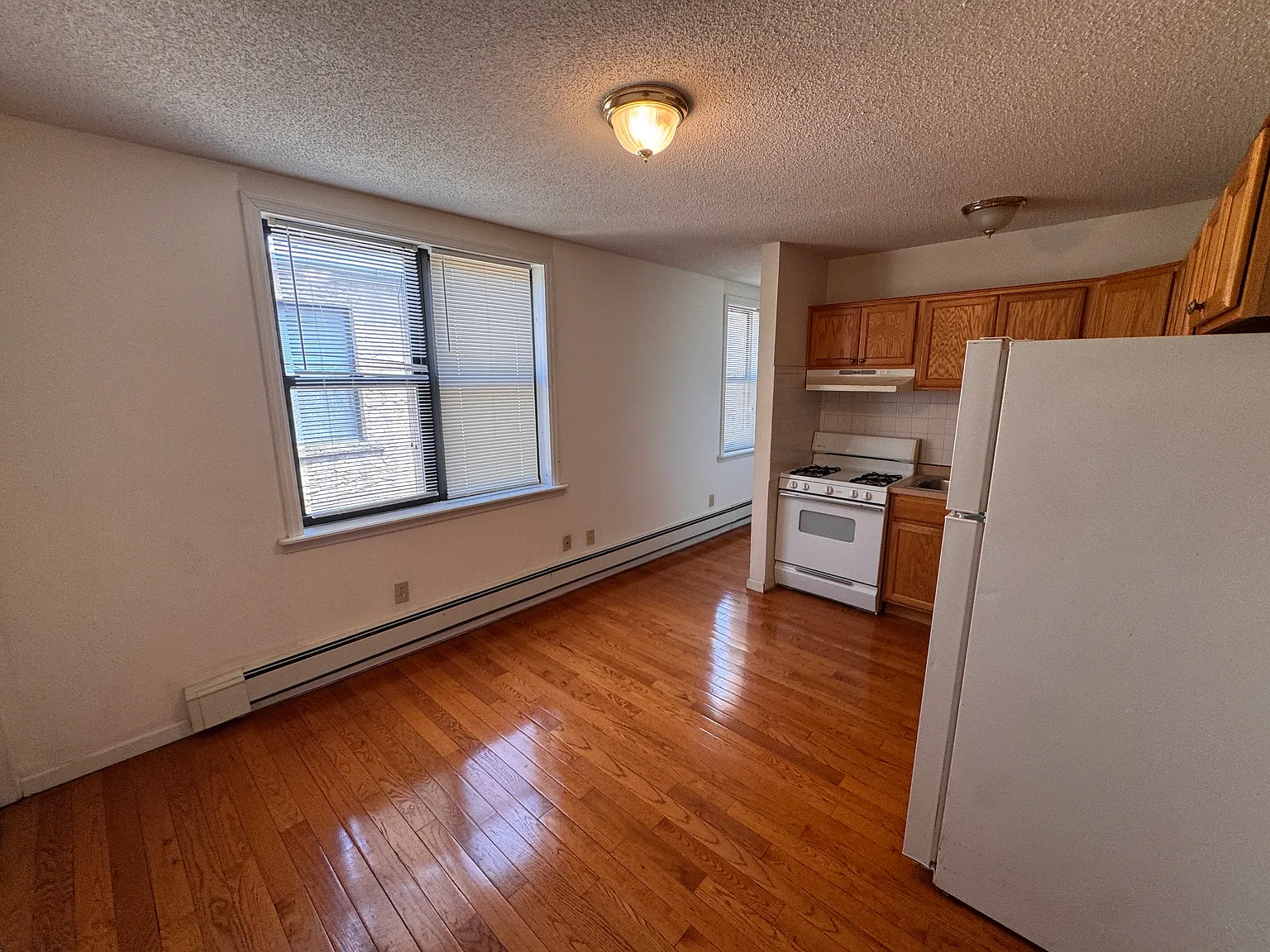 115 S 4th Street — Photo 4