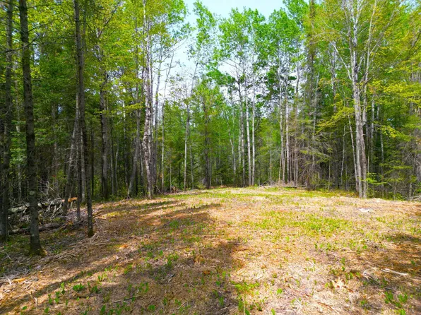 72XX E Central Lakes Rd Lot G, Eveleth, MN 55734