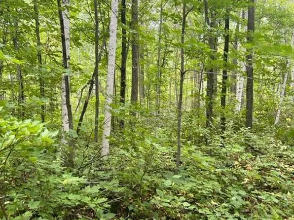 Chipmunk Pass, Cushing, MN 56443