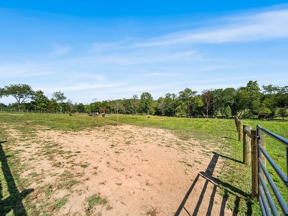 100th image of this home