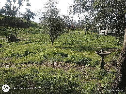 3rd image of 7824 Bollea Rd