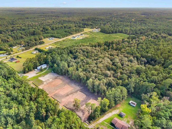 2647 Allen Dew Rd. #Tract 3, Conway, SC 29527