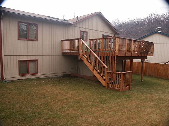 Back yard 