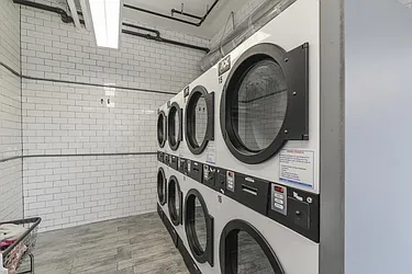 Rented by Area New York
