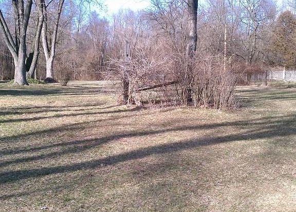 3rd image of 54140 Burdette St
