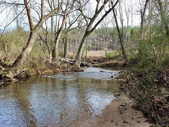 Cabin Creek
