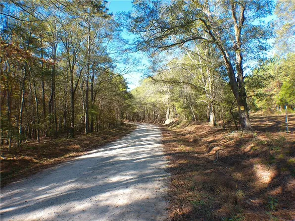 0 Dusty Rd, Bowman, GA 30624