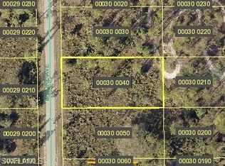 1016 Moore Ave, Lehigh Acres, FL 33972