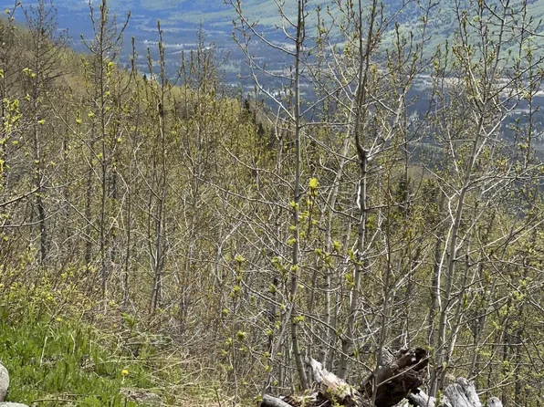 L5 Barclay Dr, Eagle River, AK 99577