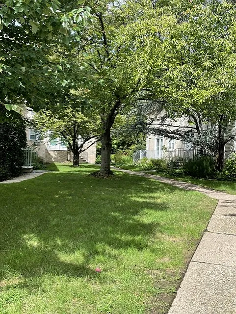 1 bed, $2,200 — Photo 3