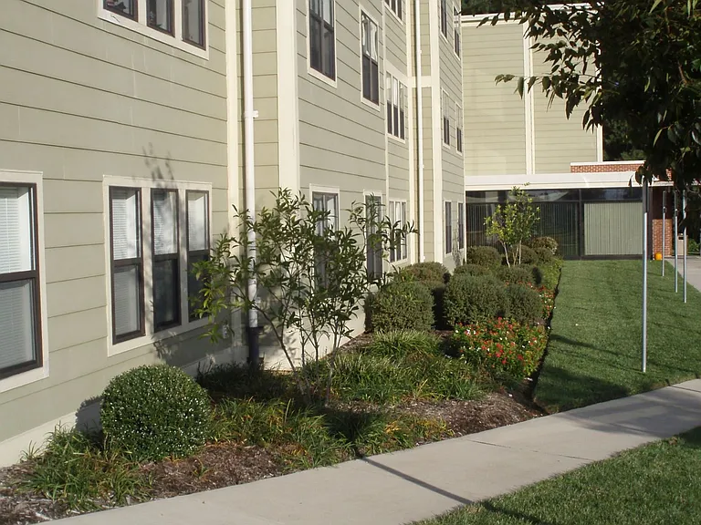 Walkway To Buildings