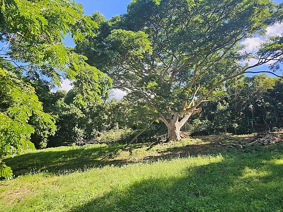5th image of 75-671 Kula Kai Pl #6