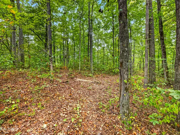 LOT 21 & 22 Colepin Ln #X, Celina, TN 38551