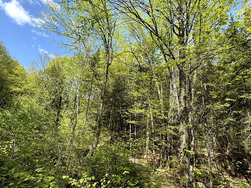 1st image of 0 Salmon Trout Lake Rd