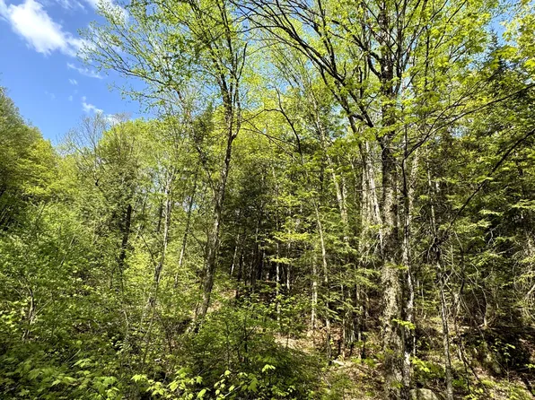 0 Salmon Trout Lake Rd, Hastings Highlands, ON K0L 1C0