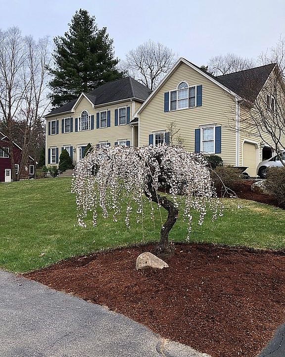 1st image of 4 Cranberry Dr