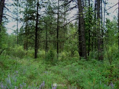 0 TBD Silver Creek Road, Keller, WA, 99140
