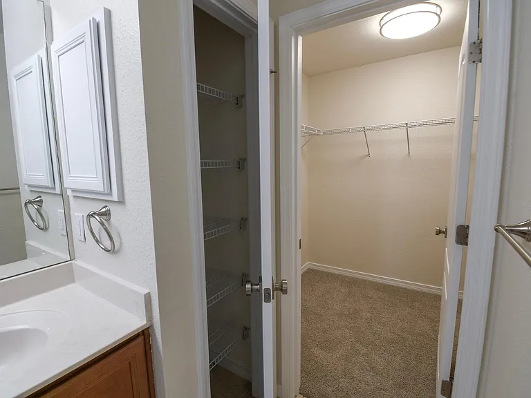 Master bathroom linen closet