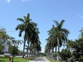 3069 Cornwall Dr, Boca Raton, FL
