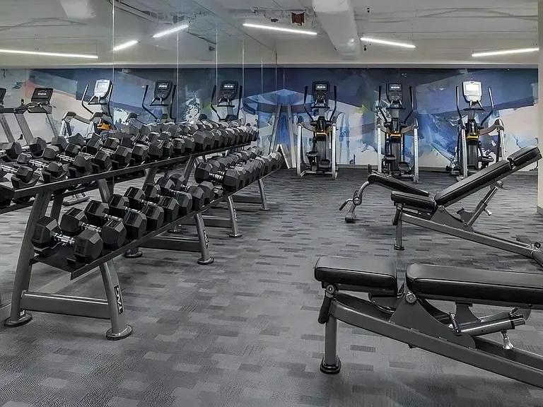 Free Weight Section With Dumbbells, Benches, and Elliptical Machines