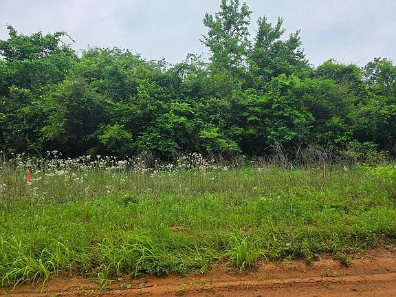 2nd image of LOT 9 County Road 175