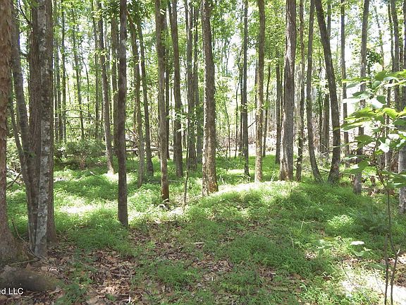 5th image of 84 County Road 154