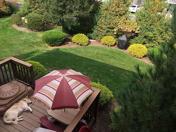 Private deck and yard