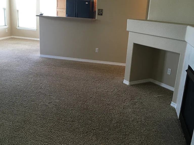 3303 Molly Ln — Photo 3