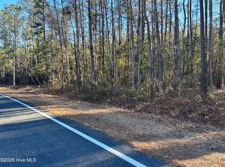 0 Biggs Rd, Rowland, NC 28383