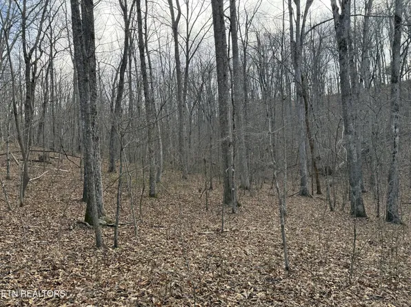 3132 E Cove Rd Lot 31/32, Monterey, TN 38574
