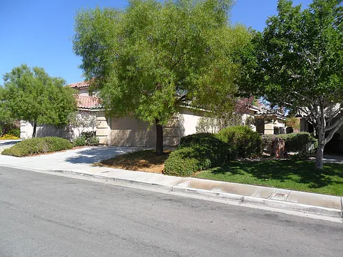 3220 Little Stream St Photo 1