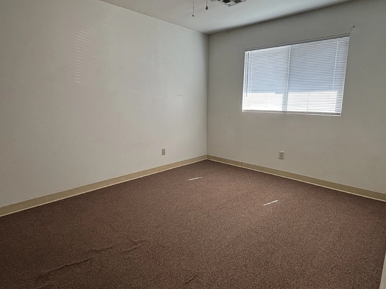 1 bed, 1.0 bath, 600 sqft, $1,250 — Photo 3