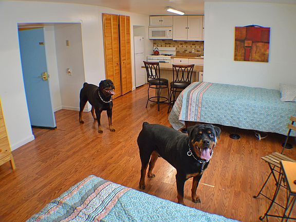 2nd image of 3418 Baltimore Ave #12A