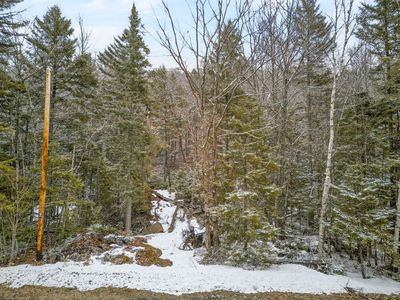 M10 L50 Ashuelot Drive, Washington, NH, 03280