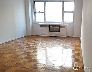 333 E 46th St #4B — Photo 4