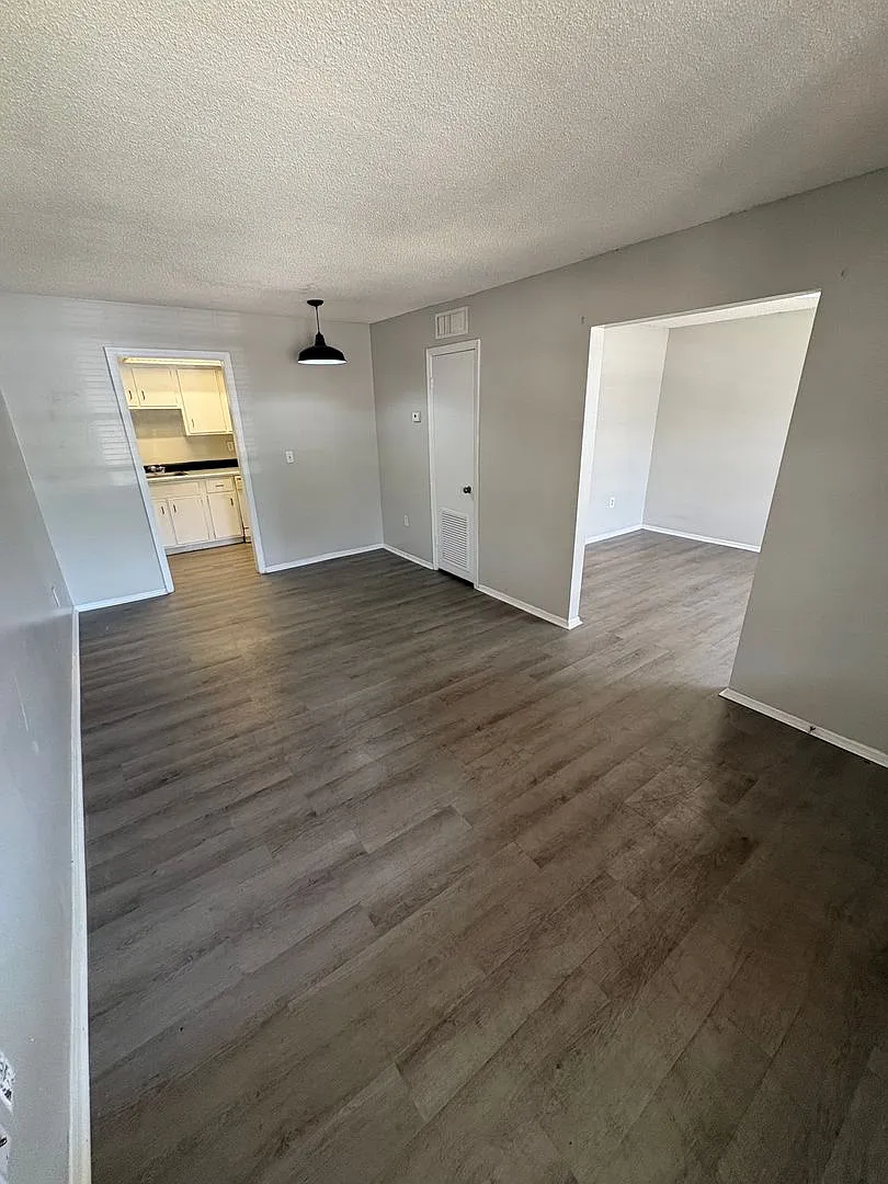 Spacious Studio in Maitland! — Photo 3