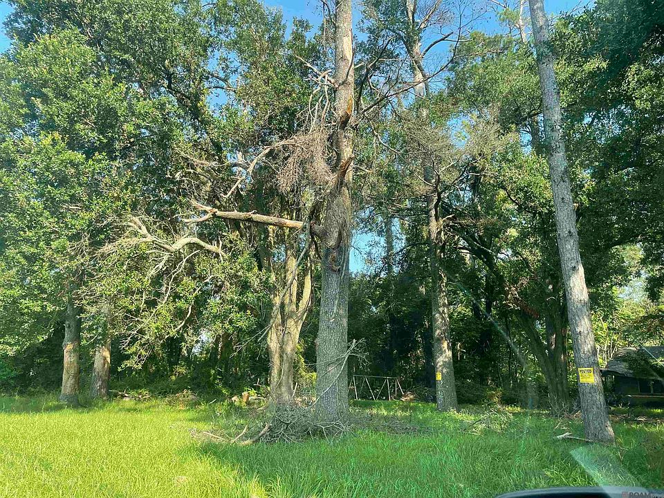 2nd image of 14101 Florida Blvd