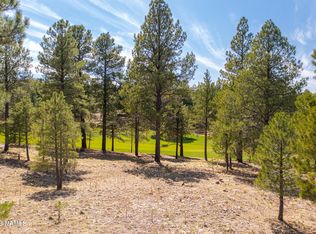 2961 S Solitaires Canyon Dr, Flagstaff, AZ 86005
