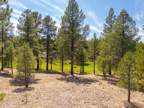 2961 S Solitaires Canyon Dr, Flagstaff, AZ 86005